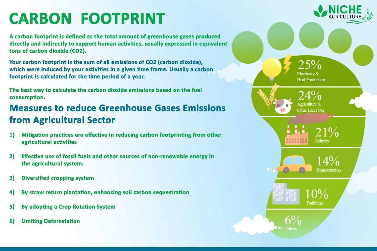 carbon-footprint-measures-to-curb-greenhouse-gases-niche-agriculture