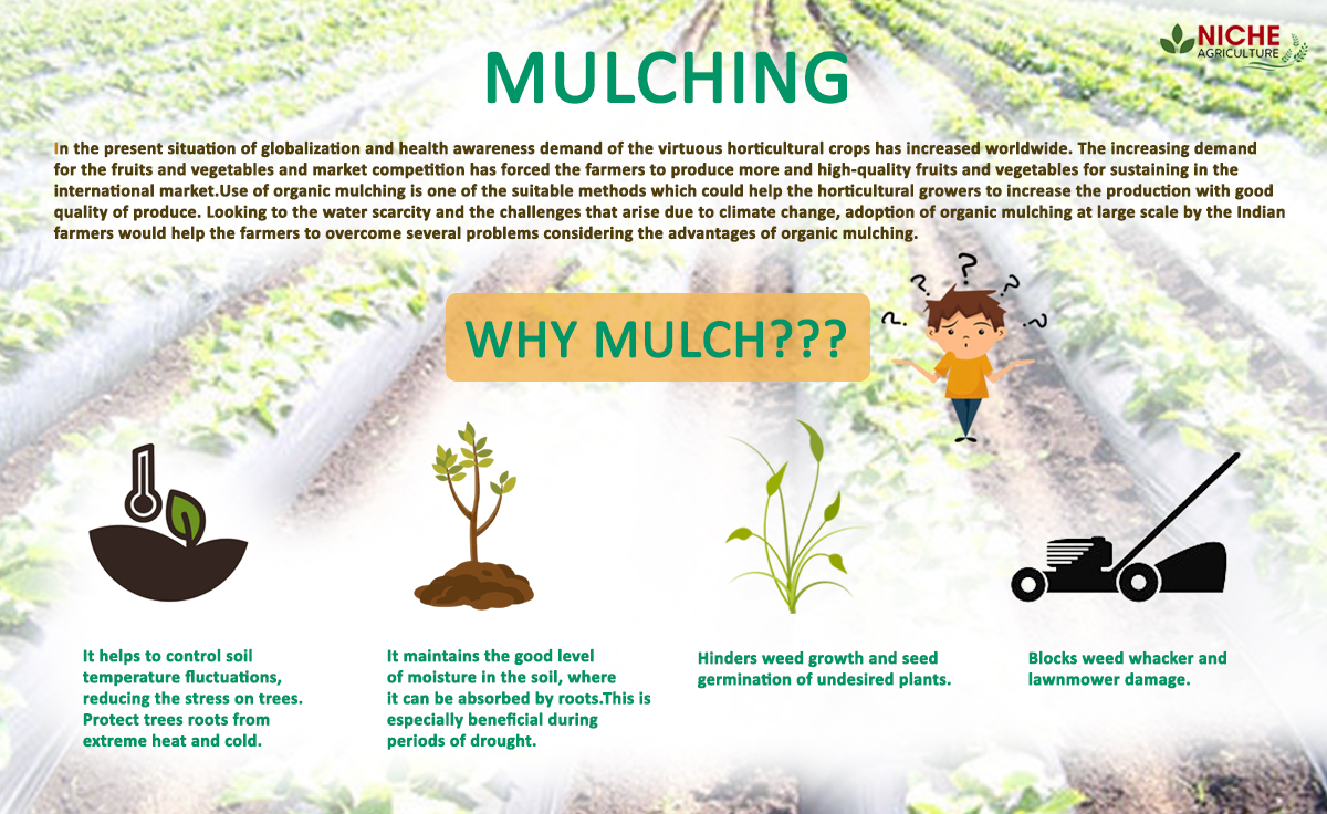 Mulching Mulch Your Landscape With Its Benefits Niche Agriculture