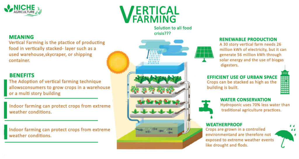 Vertical Farming Pros and cons | Definition - Niche Agriculture