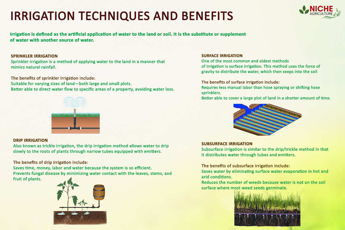 Various Types of Irrigation Techniques Used in India Niche Agriculture