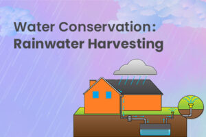 Rainwater Harvesting- Advantages and Disadvantages