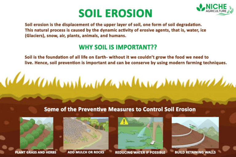 Soil Erosion- Definition And Conservation - Niche Agriculture