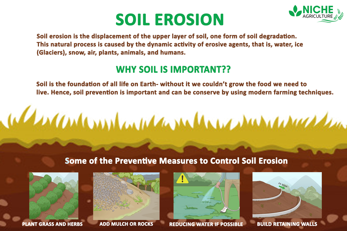 Soil Erosion Definition And Conservation Niche Agriculture