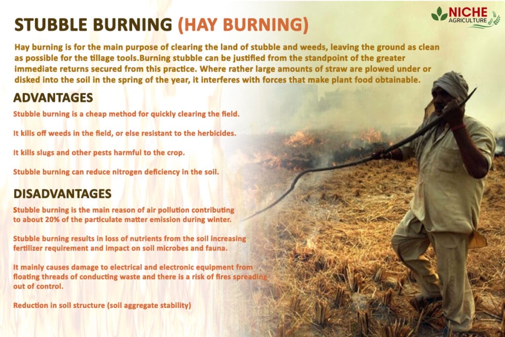 stubble-burning