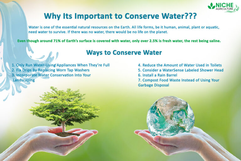 Water Conservation Definition Measures Reasons Niche Agriculture 7657