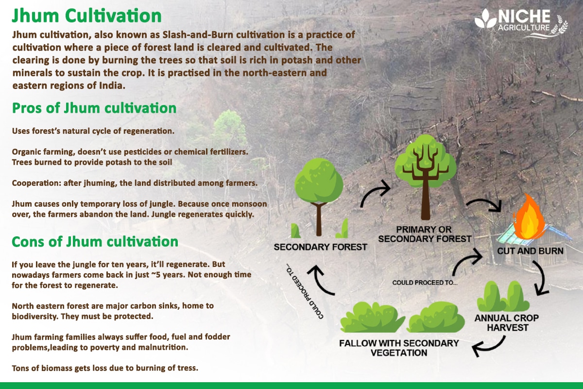 jhum-cultivation-type-of-farming-practiced-in-north-eastern-states