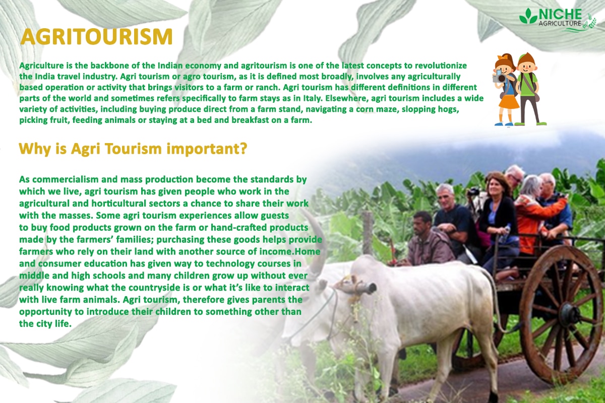 Agritourism- Backbone Of India’s GDP - Niche Agriculture