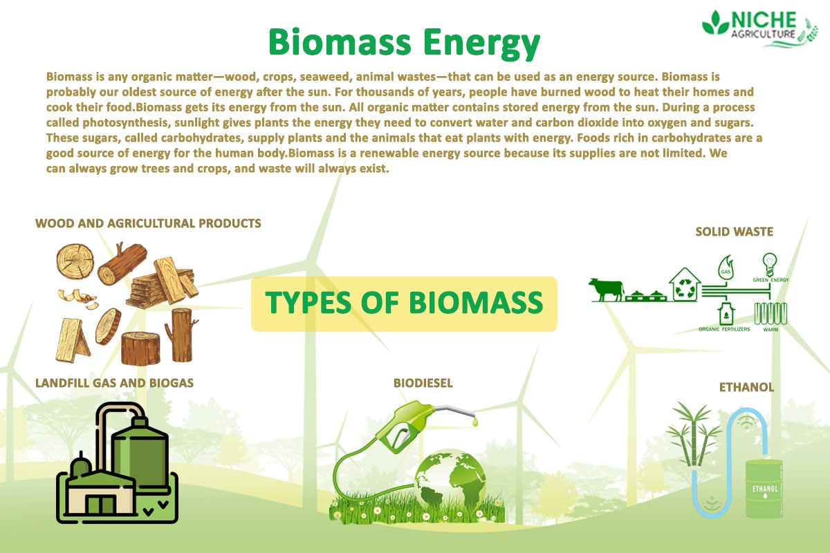 types of biomass fuel