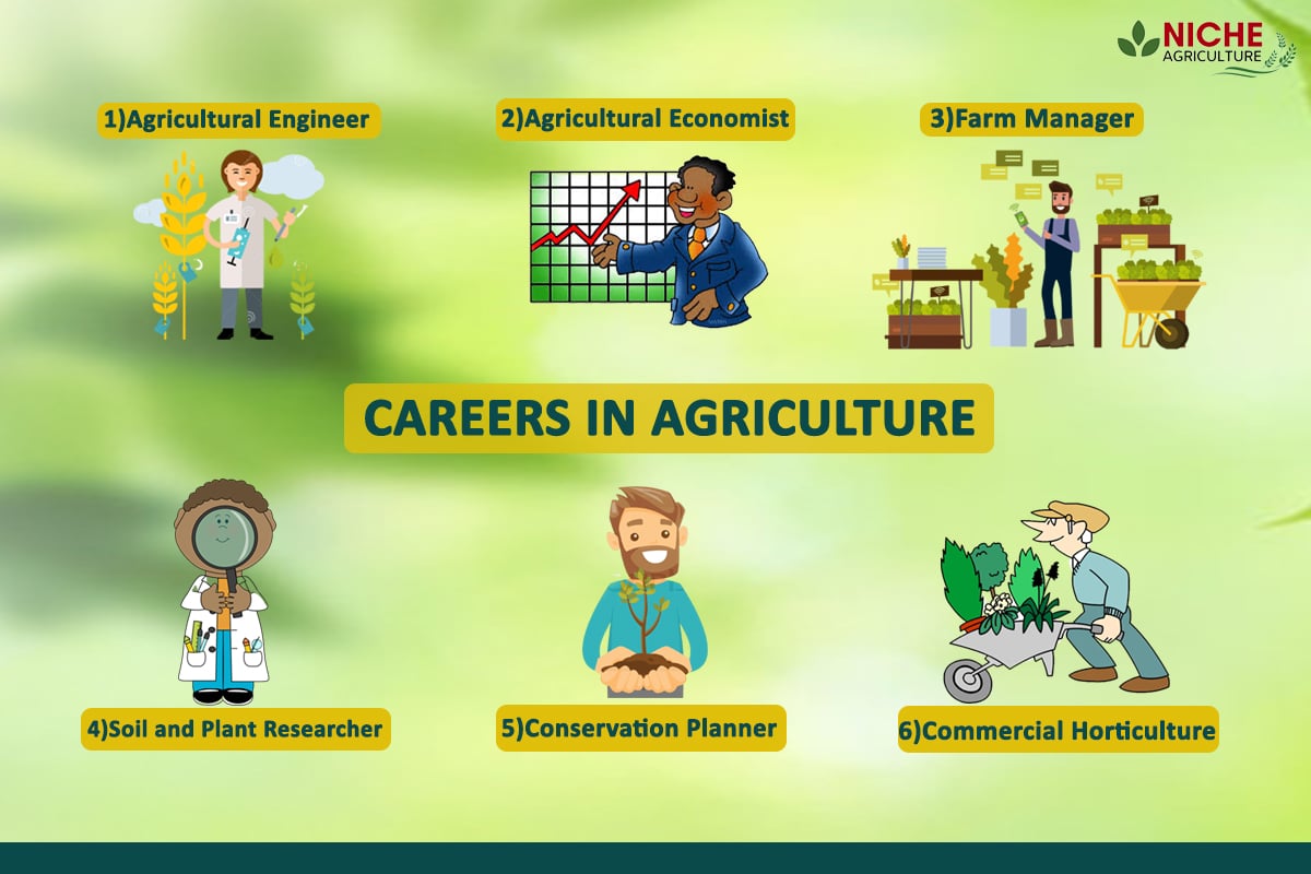 Know About Careers in Agriculture  Niche Agriculture