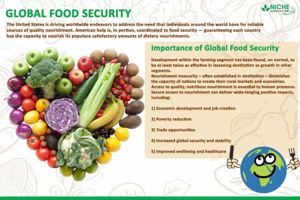 Global Food Security Its causes and importance
