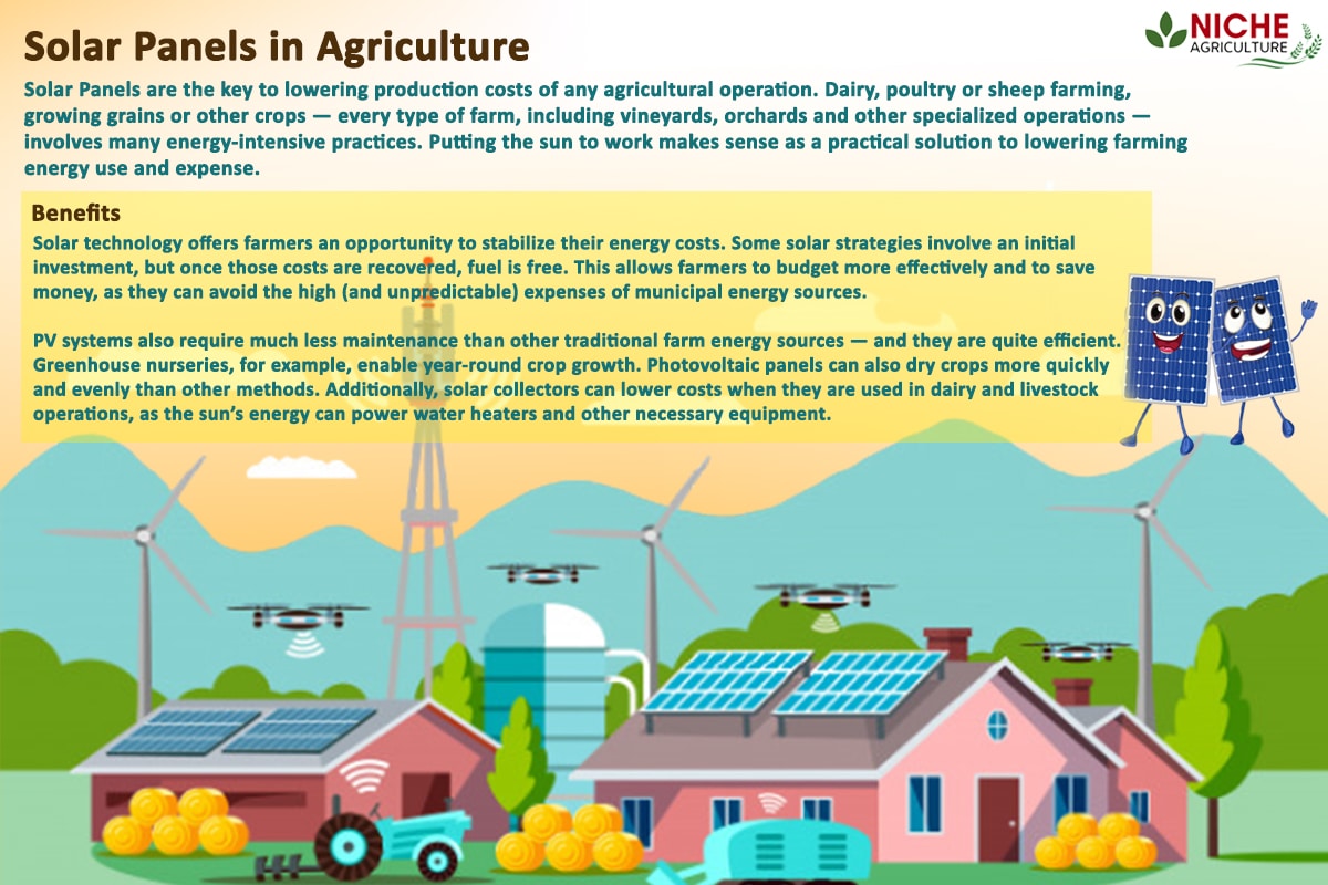 Use Of Solar Energy In Agriculture - Niche Agriculture