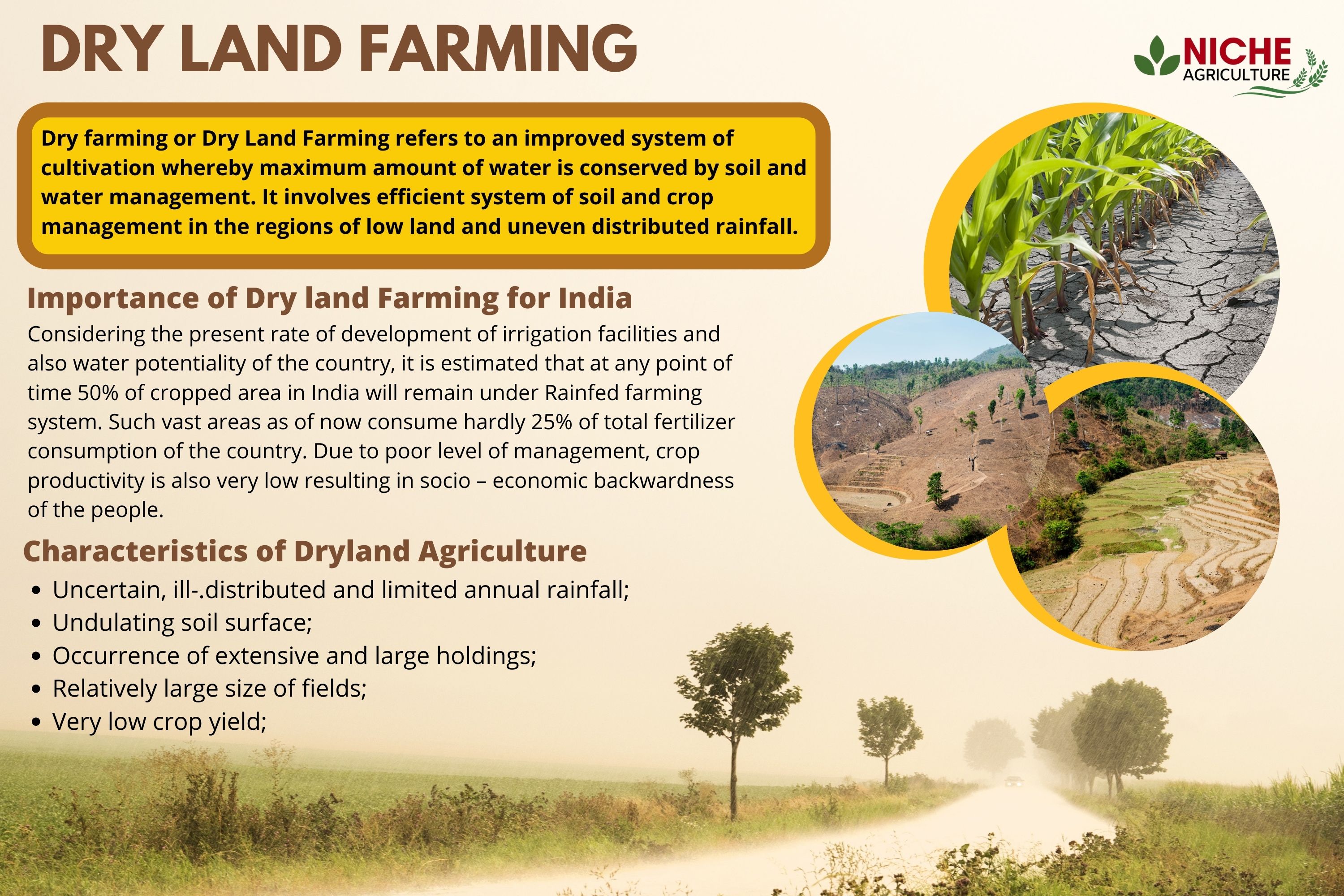 dry-farming-techniques-learn-about-crops-grown-in-dryland-farming