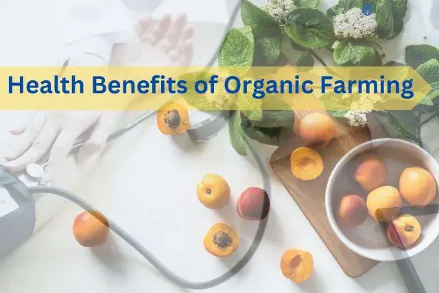 Health Benefits Of Organic Farming Niche Agriculture