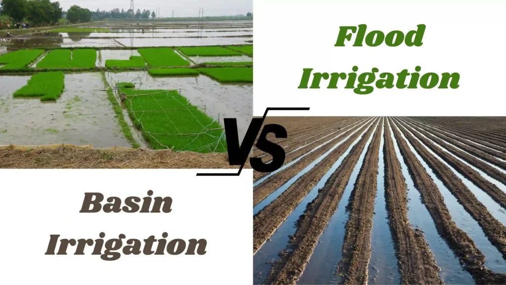Flood Irrigation vs. Basin Irrigation
