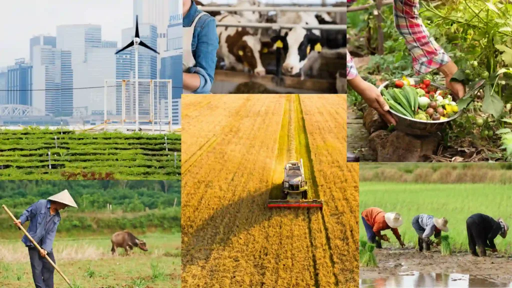 Importance of Different Types of Agriculture