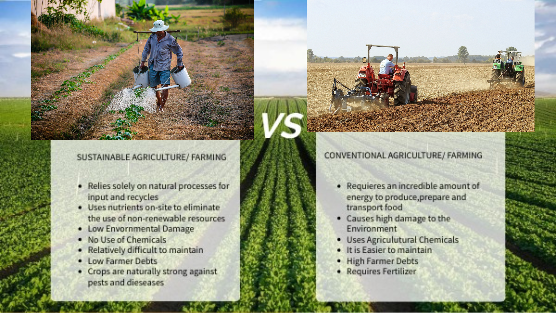 Sustainable Agriculture Differ from Conventional Agriculture