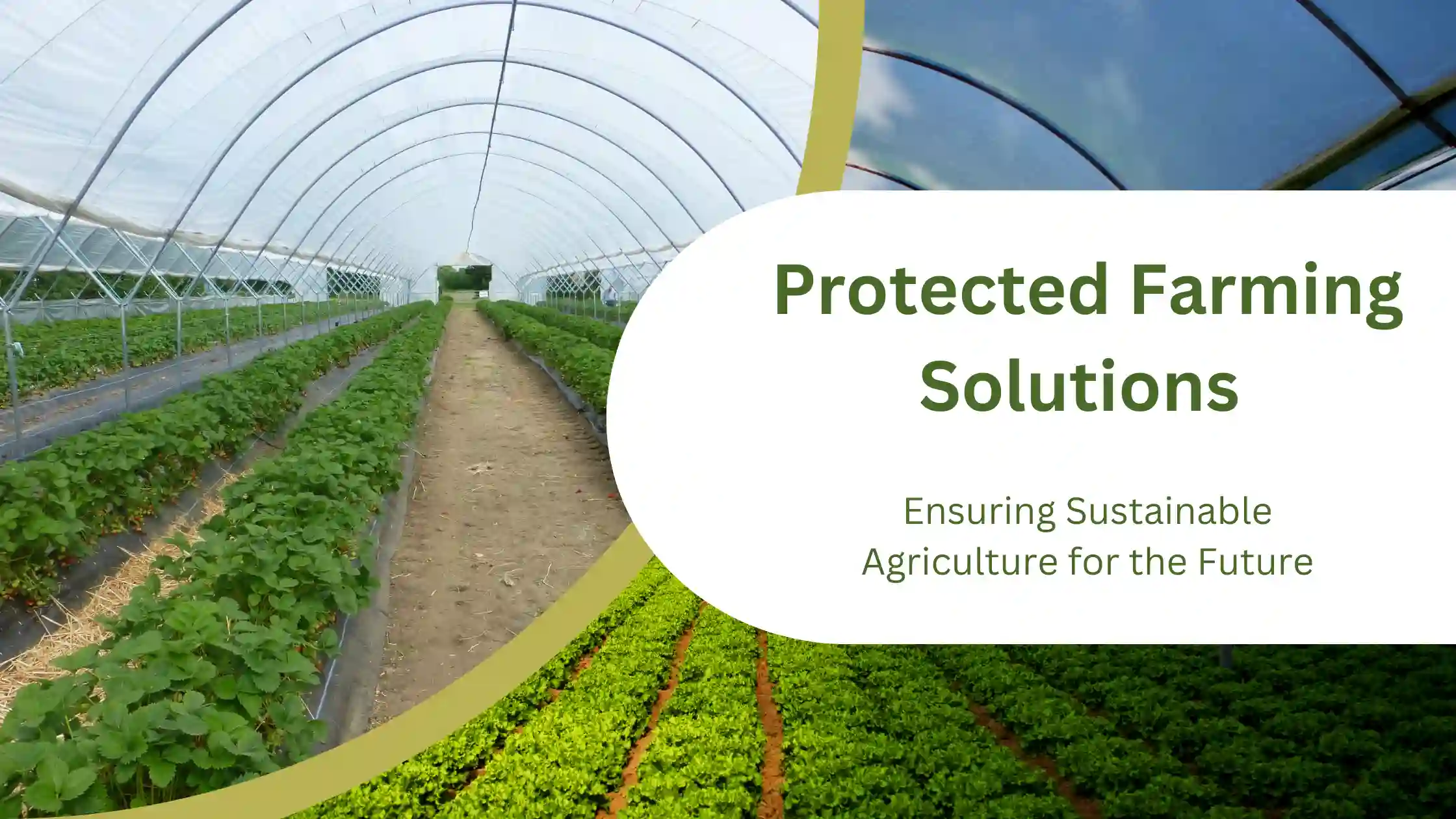 Protected Farming Solutions