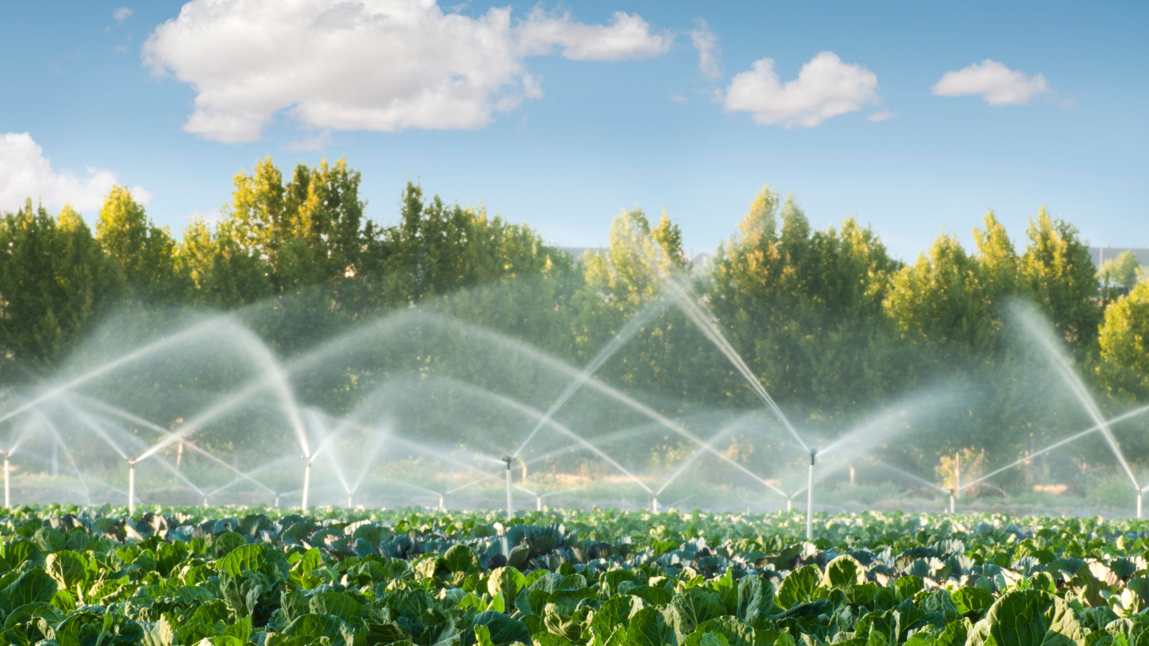 Why Irrigation is So Essential in India?
