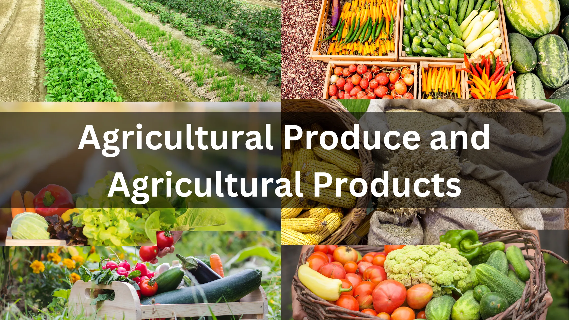 Agricultural Produce and Agricultural Products