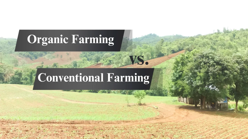 Organic vs. Conventional Farming