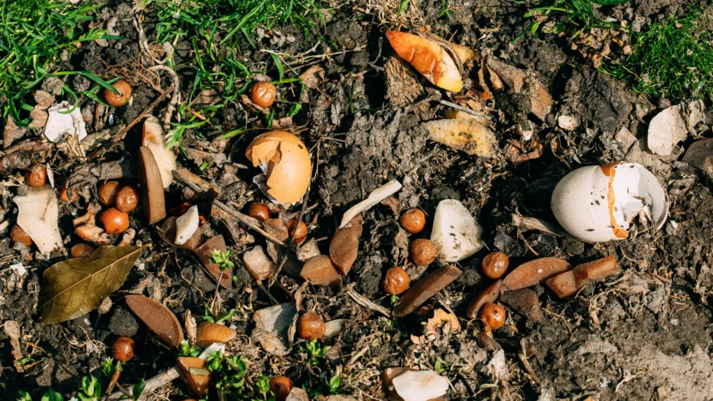 Compost Pits in Agriculture