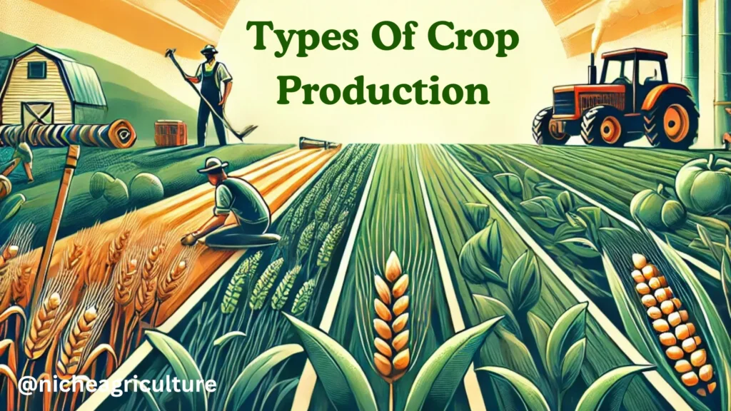 Types of Crop Production